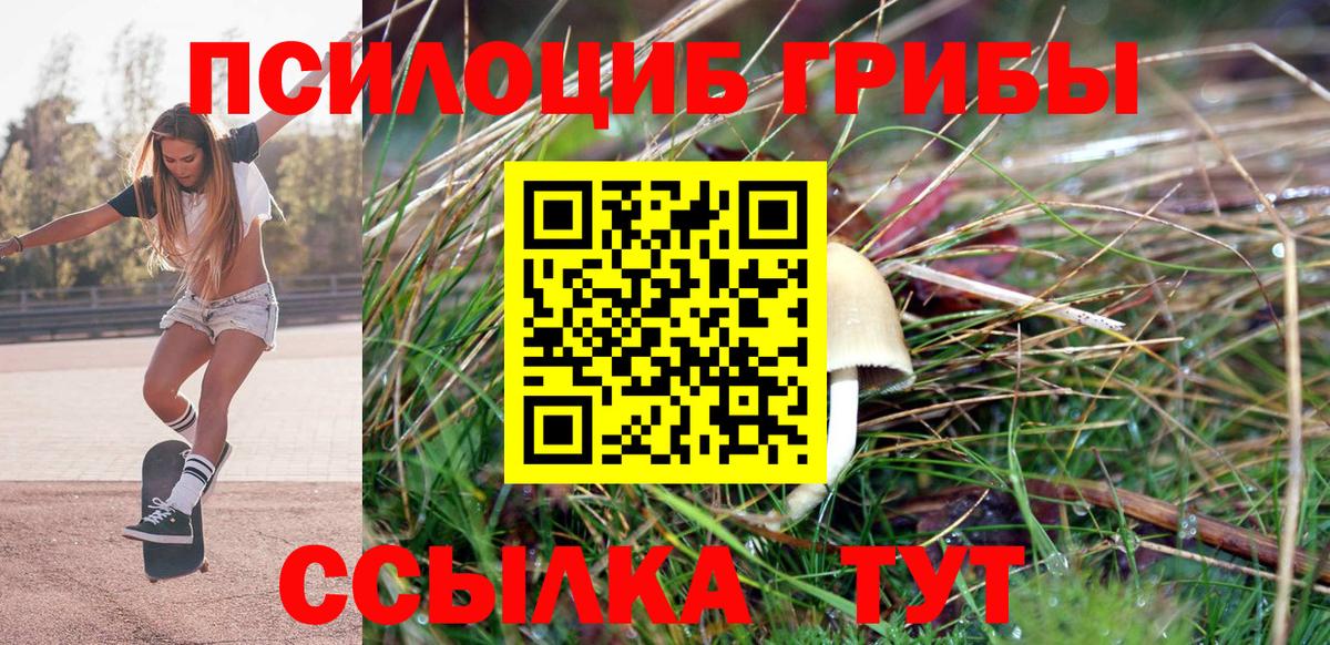 Галлюциногенные грибы GOLDEN TEACHER Солнечногорск